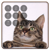 APK Cat Lock Screen Cute