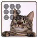Cat Lock Screen Cute APK