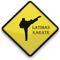Latihan Karate