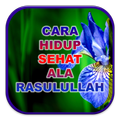Hidup Sehat Ala Rasulullah S.A.W