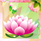 Lotus photo collage icône
