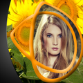 Sunflower Photo Frames