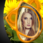 Sunflower Cadres photo icône