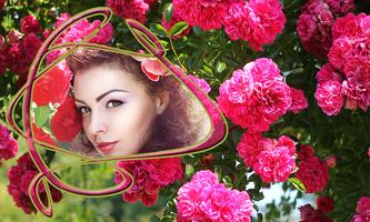 fleur rose cadres photo Affiche