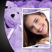 Teddy Bear Photo Frames