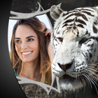 marcos de fotos de tigre icono