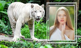 marcos de fotos de tigre Poster