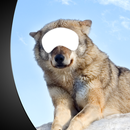 APK animale fotomontaggio