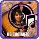 Iis Sugiarto APK