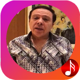 Musique Mahmoud Anwar icône