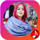 اغاني ندى القلعة APK
