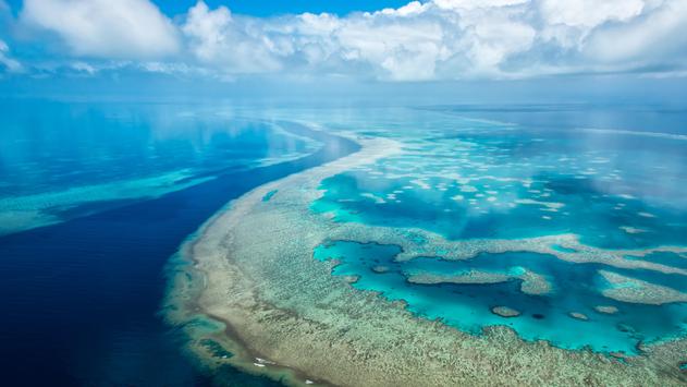 8K Ultra Hd Wallpaper for Android - APK Download
