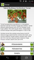 Budidaya Sayuran Hortikultura ảnh chụp màn hình 3