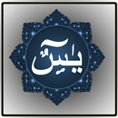 Surat Yasin and Prayer APK