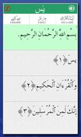 Surah YaSin Audio Urdu screenshot 2