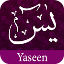 Surah Yaseen MP3 with Translation-سورة يس (Unreleased) APK