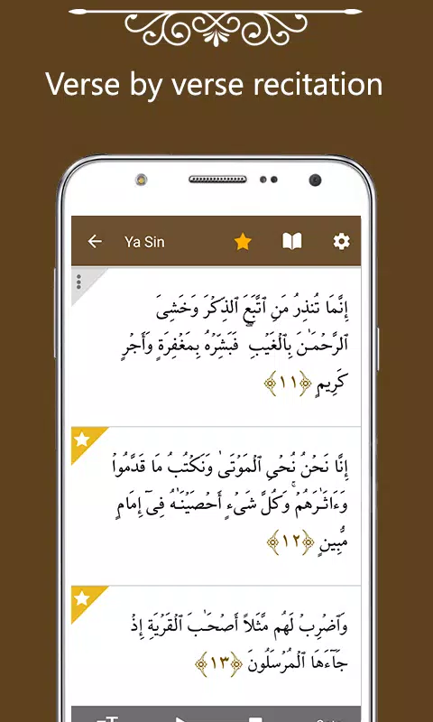 Uma das suratas do alcorão majeed com tradução para o inglês