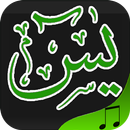 APK Surah yasin mp3 Recitation