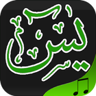 Surah yasin mp3 Recitation icon