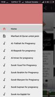 12 Surah Quran for Pregnancy Affiche