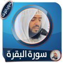 سورة البقرة تلاوة مؤثرة وديع اليمني بدون انترنت APK