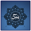 Surah Yasin Mp3 (Text & Audio) APK