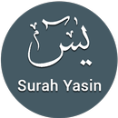 Surah Yasin - Mp3 Audio and Translation APK