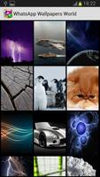 Chat Wallpapers World Affiche