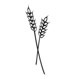 bloomer's icon