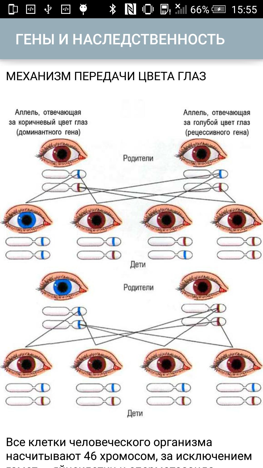 Рецессивные глаза. Генетика цвет глаз наследование таблица. Генетическое наследование цвета глаз. Схема наследования цвета глаз. Генетика цвет глаз наследование.