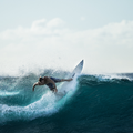 Surfing Wallpaper
