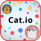 Cat.io 아이콘