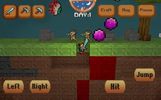 Pixel Craft 3D Ekran Görüntüsü 1