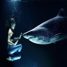 Man vs Wild - (survival guide) icon
