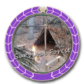 Survival Life Forest