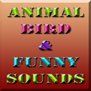 Funny Sound : Animal, Bir, Vehicle & Other Sound APK