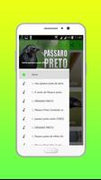 Canto passaro preto pele Offline Cartaz