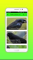 Canto passaro preto pele Offline imagem de tela 1