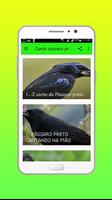 برنامه‌نما Canto passaro preto pele Offline عکس از صفحه