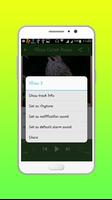 Cucak Wilis Master Offline screenshot 3