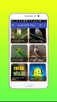 Cucak Wilis Master Offline screenshot 1