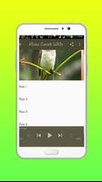 Cucak Wilis Master Offline screenshot 2