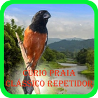 Curió Praia Clássico Repetidor simgesi