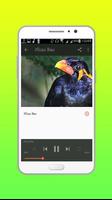 Kumpulan Kicau Burung screenshot 2