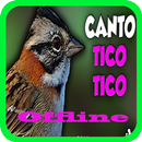 O Canto do Tico Tico APK