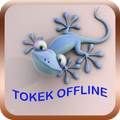 Suara Tokek Mp3