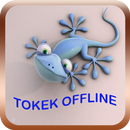 Suara Tokek Mp3 APK