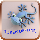 Suara Tokek Mp3 icon