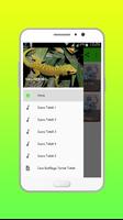 Suara Tokek Mp3 poster