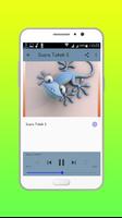 Suara Tokek Mp3 screenshot 1